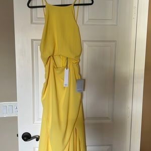 NSR- Color Sunflower - XL